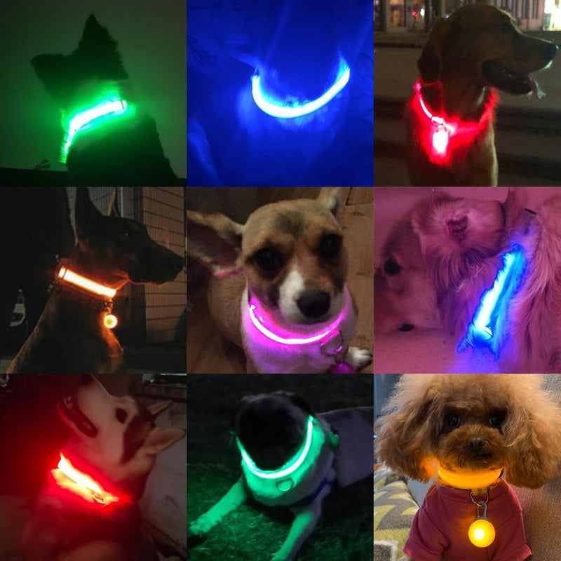 Coleira para  Cães - LED (USB)