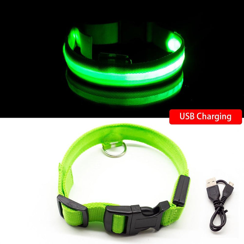 Coleira para  Cães - LED (USB)